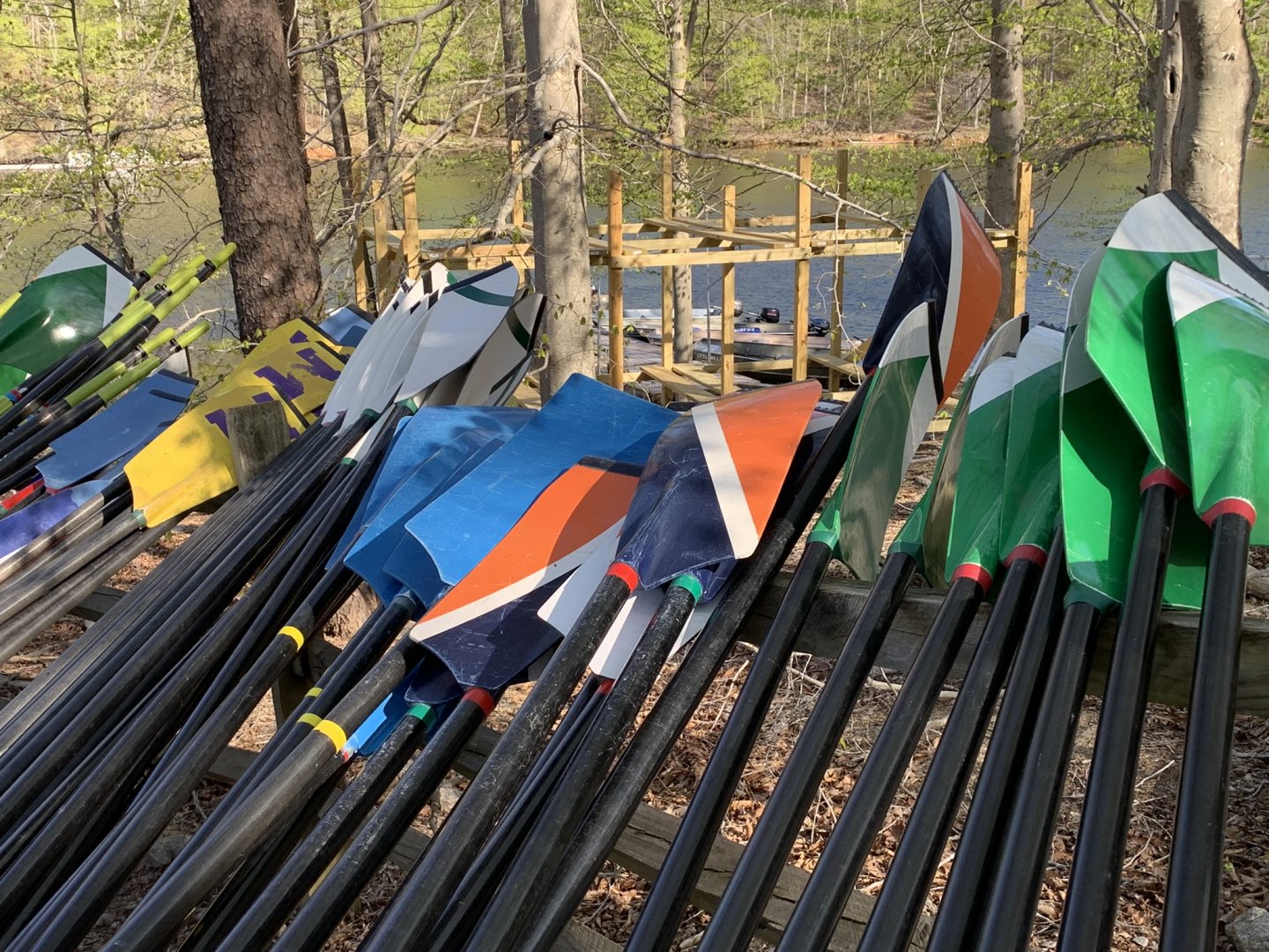 Colorful rowing oars stacked by a lakeside in the woods.