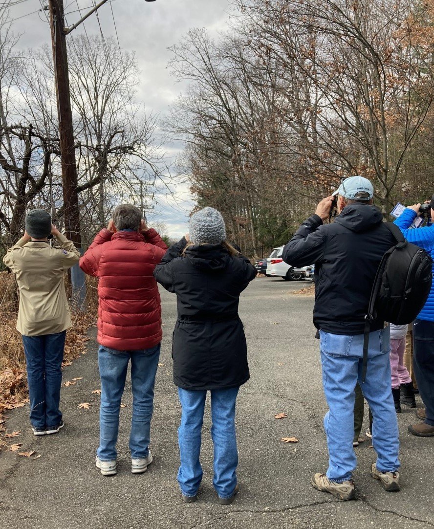 People birdwatching on a tree-lined street in winter attire.