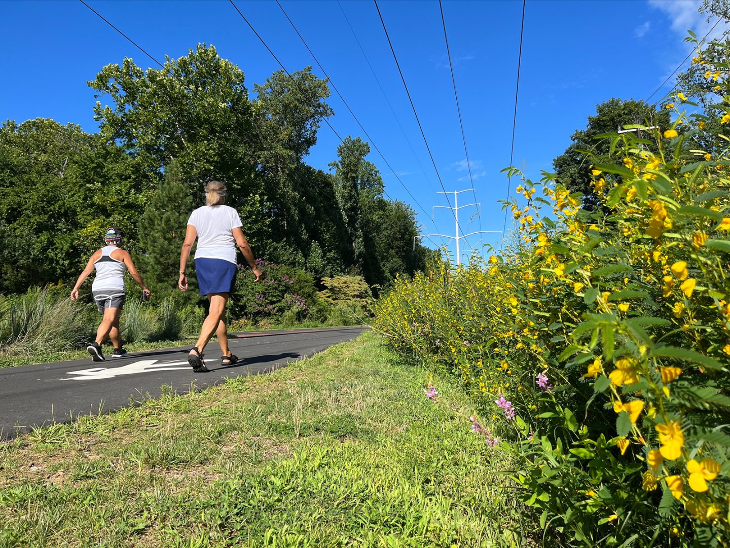 Two people walking on a paved path, surrounded by trees and yellow flowers.