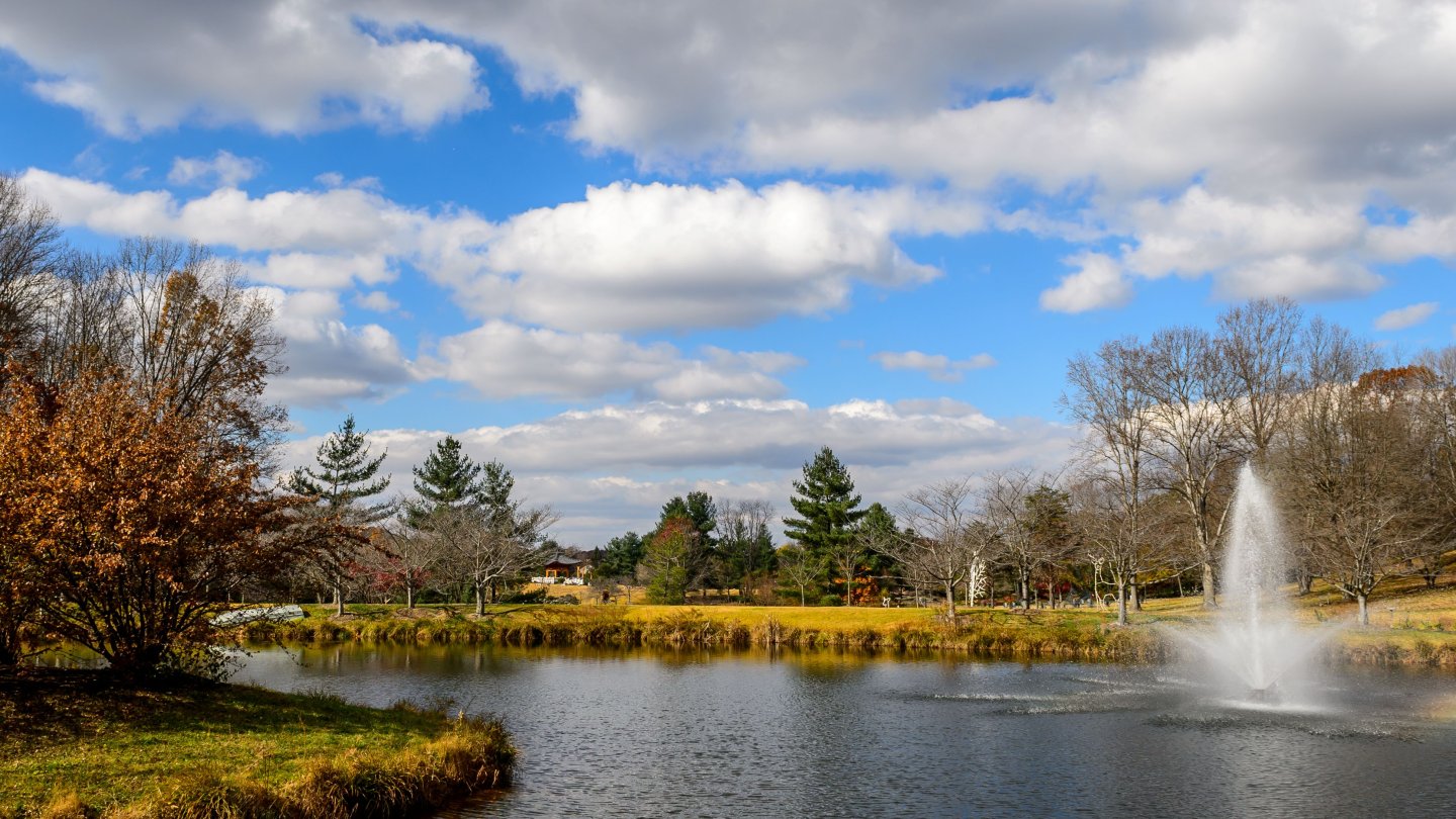 Meadowlark's Lake Gardiner by Tom Stovall  lake with fountain and early winter trees