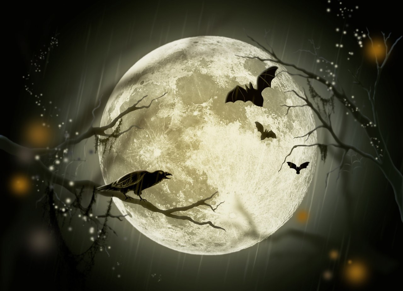 Full moon with silhouetted bats and bare branches at night