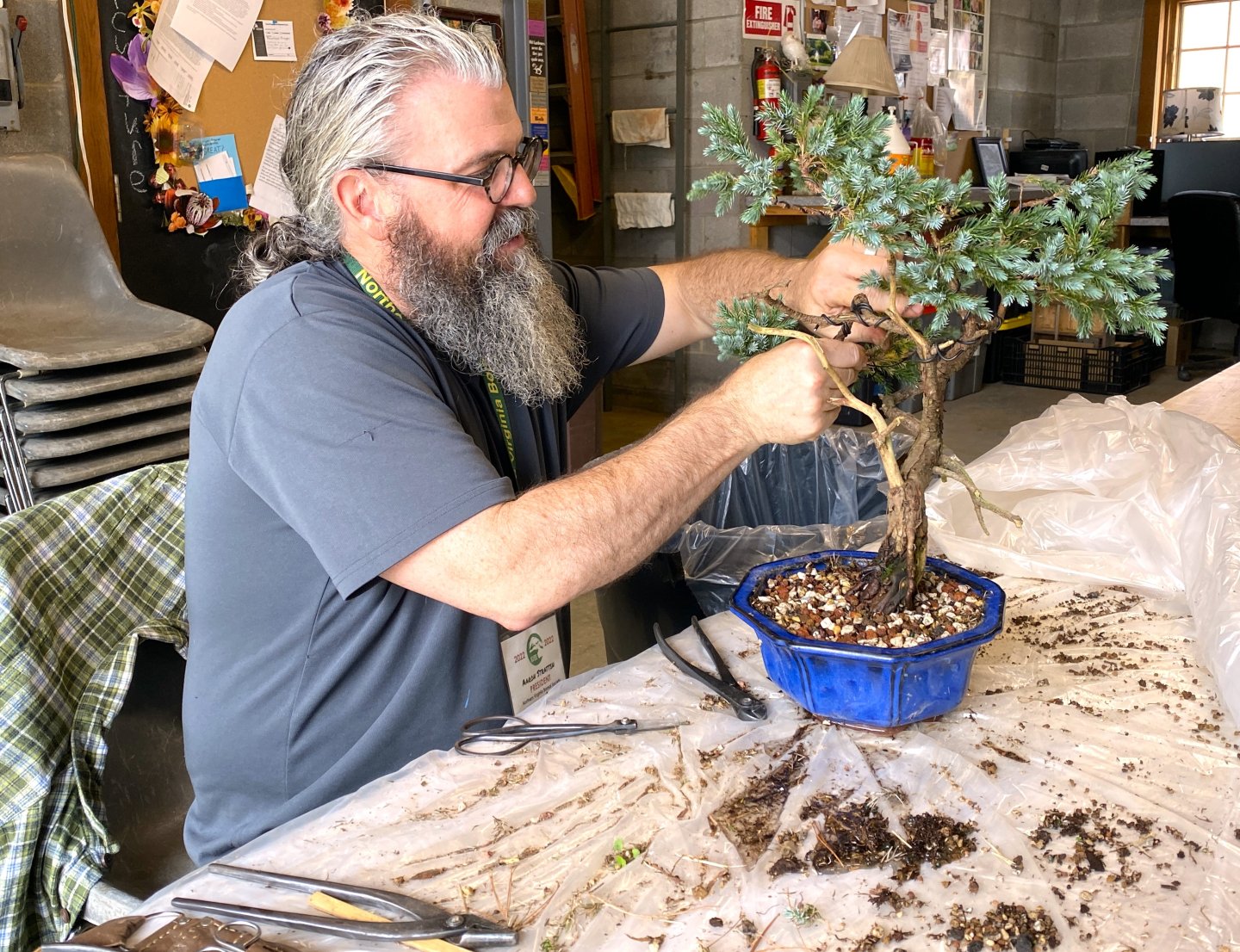 Bearded man arranging a bonsai tree in a blue pot at a cluttered workbench.