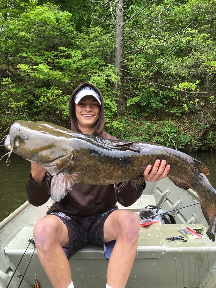 Giant Catfish