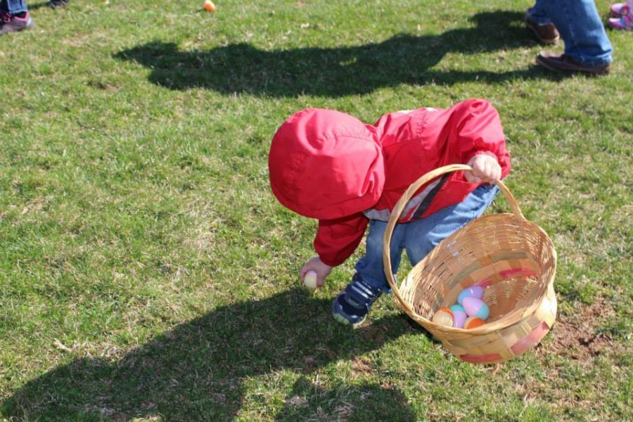 egg hunt