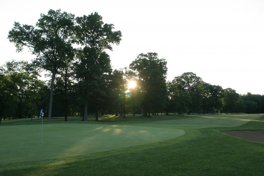 golf course, sun coming through trees