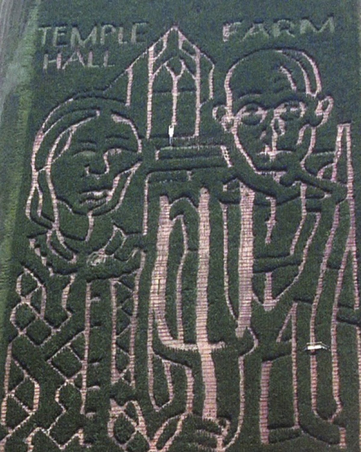 Corn Maze