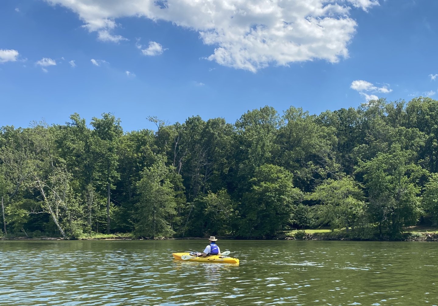 Kayak Pohick Kayak Pohick