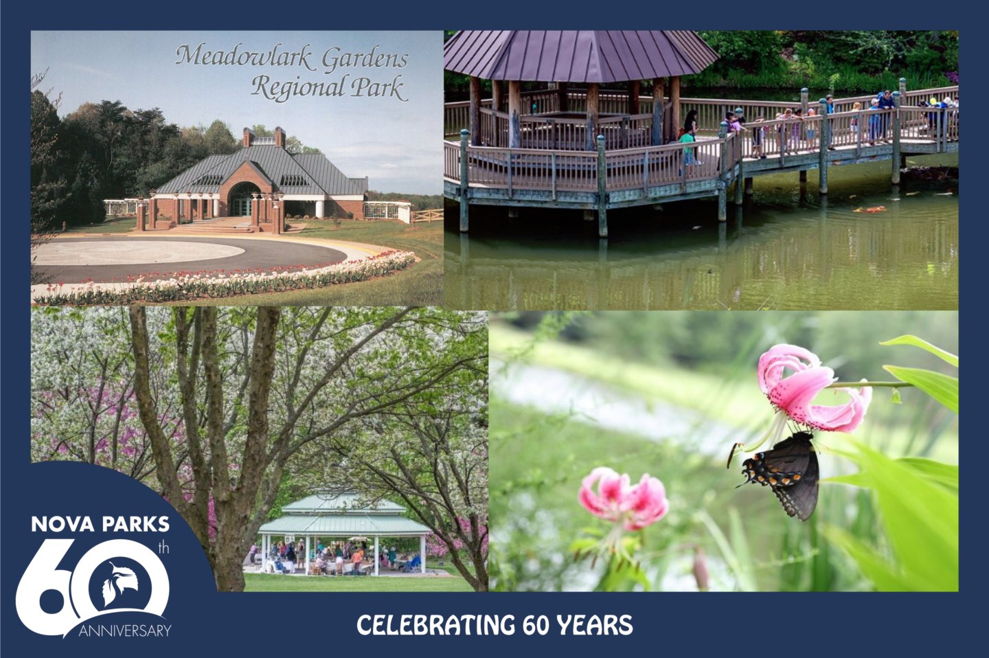 Meadowlark Blog Meadowlark Blog