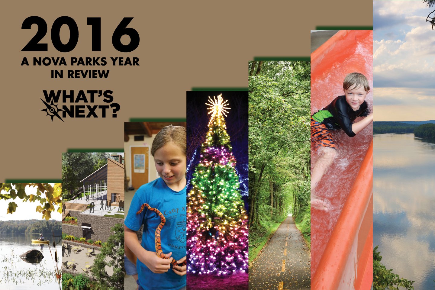 year in review graphic year in review graphic