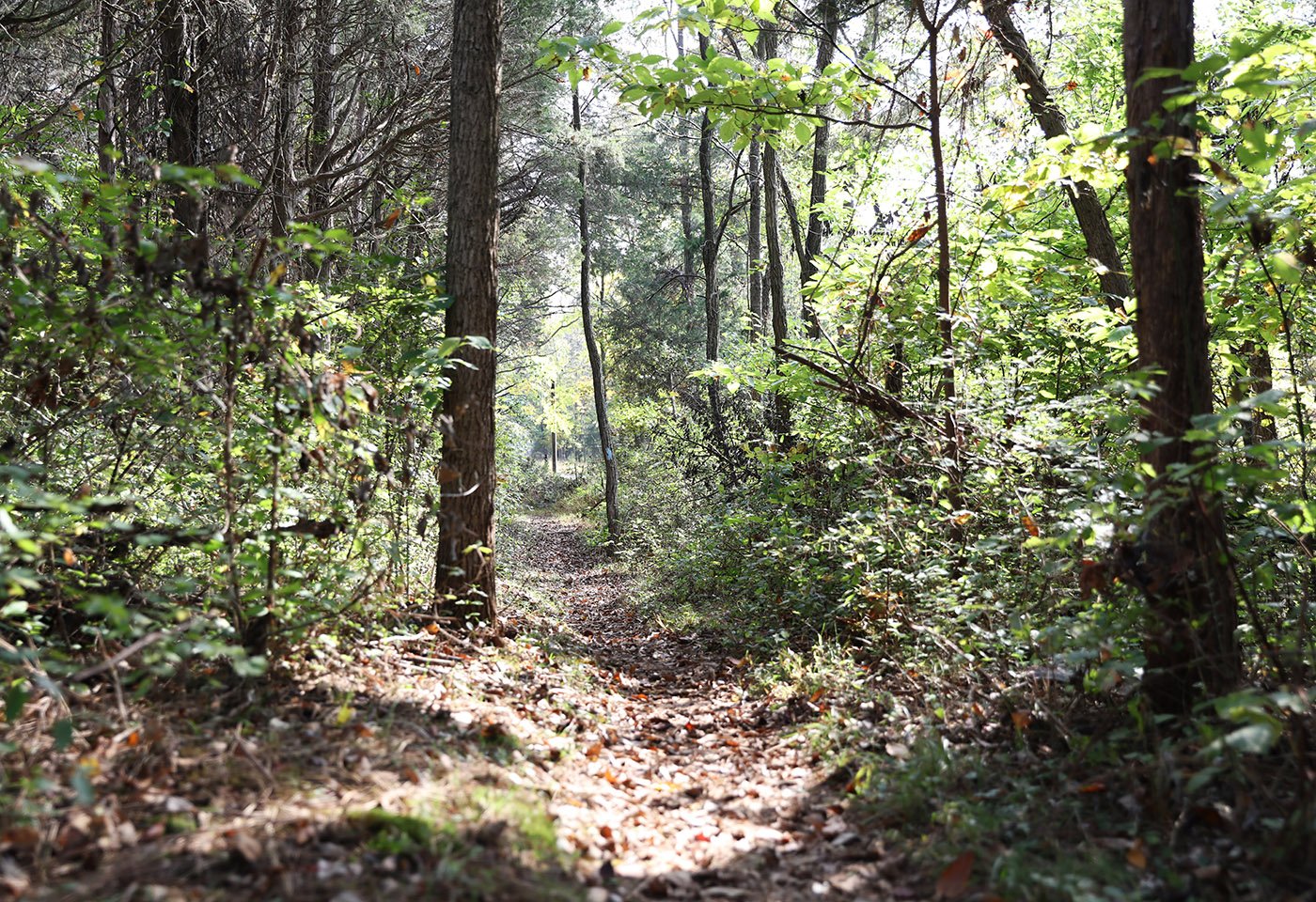Beaverdam Reservoir, trail