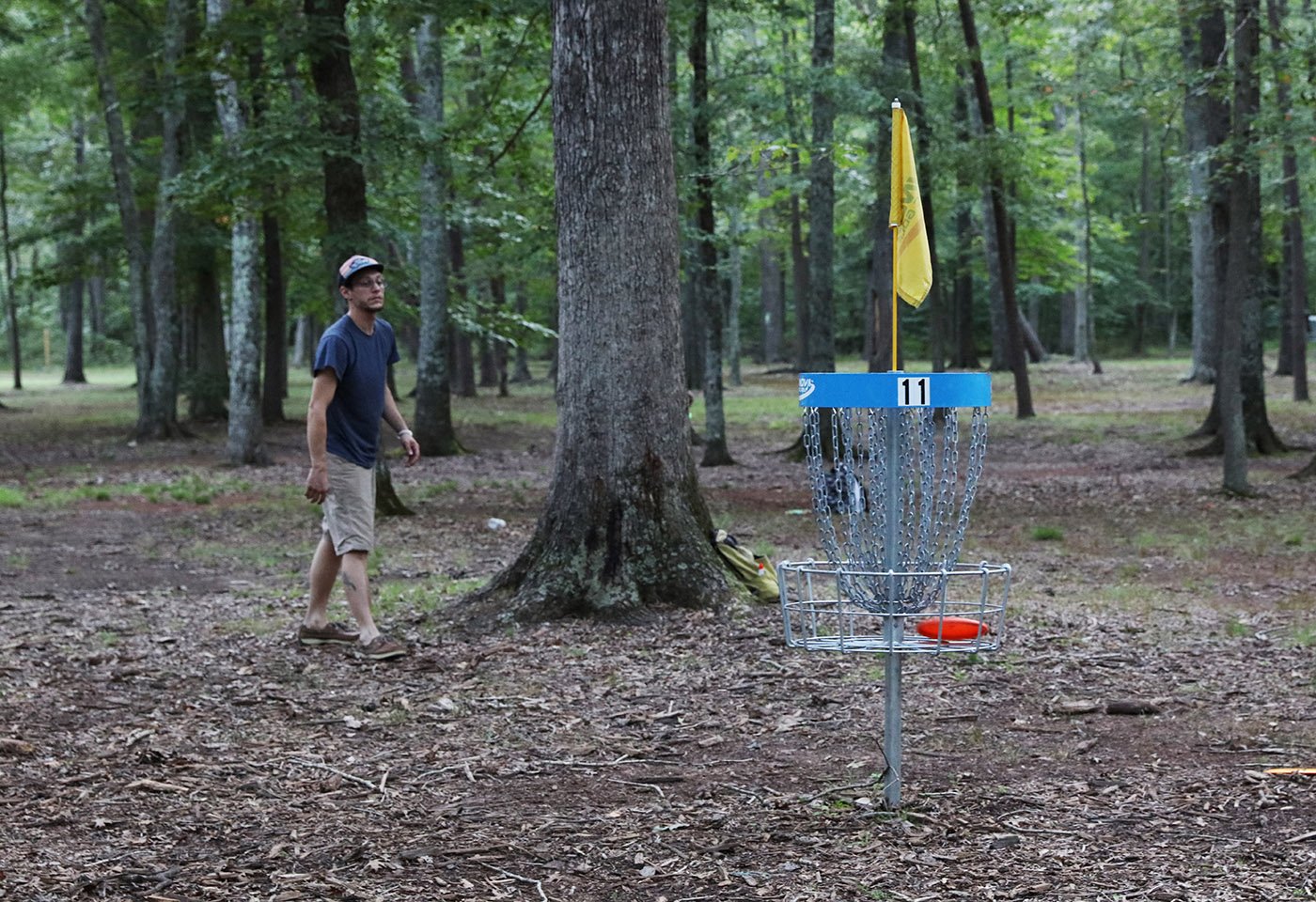 frisbee golf at bull run