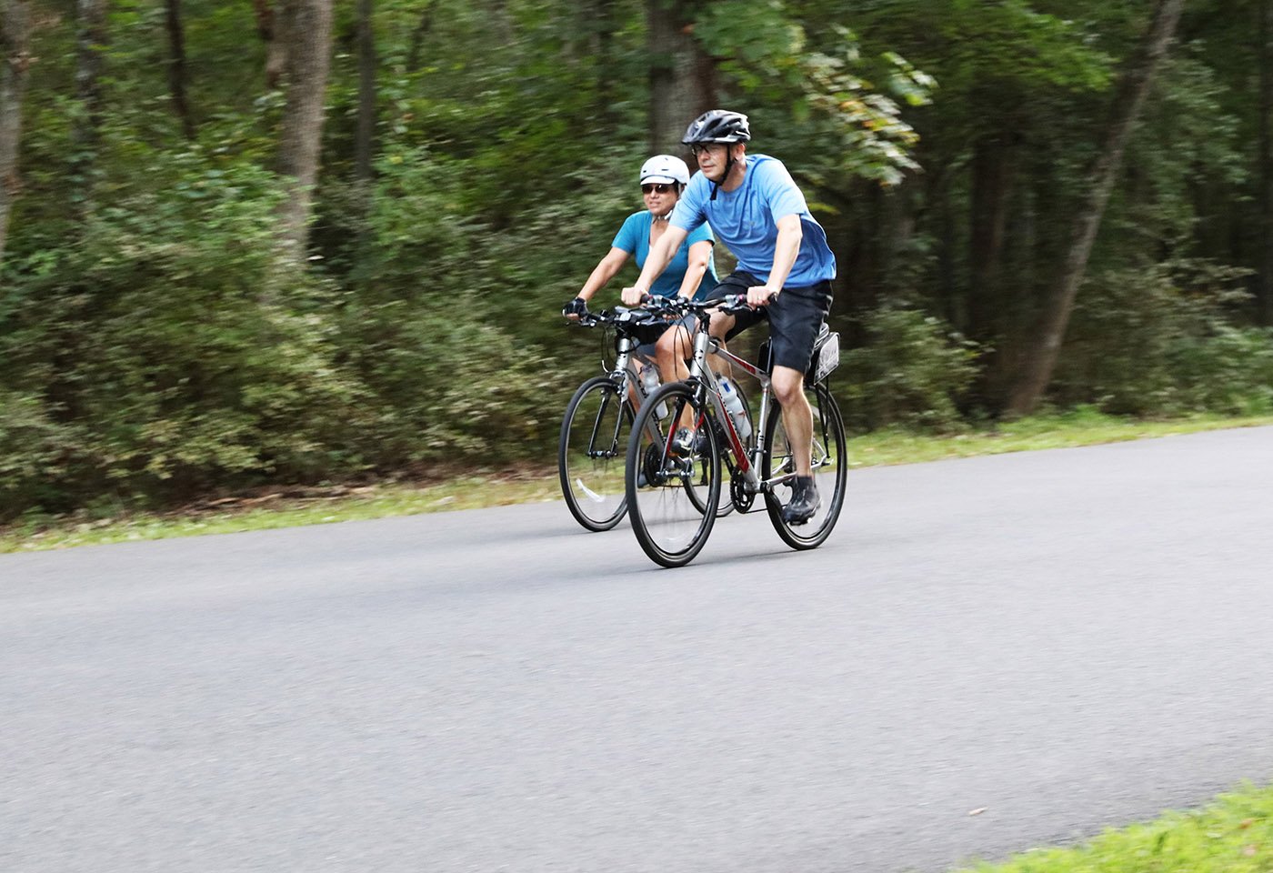 Bull Run Regional Park Nova Parks