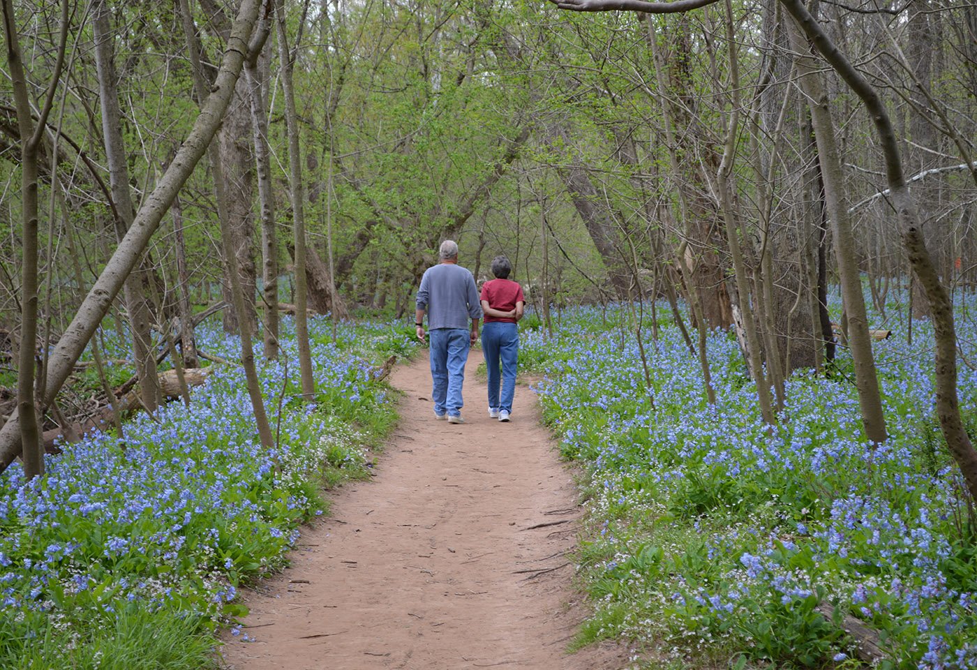 Bull Run Regional Park Nova Parks