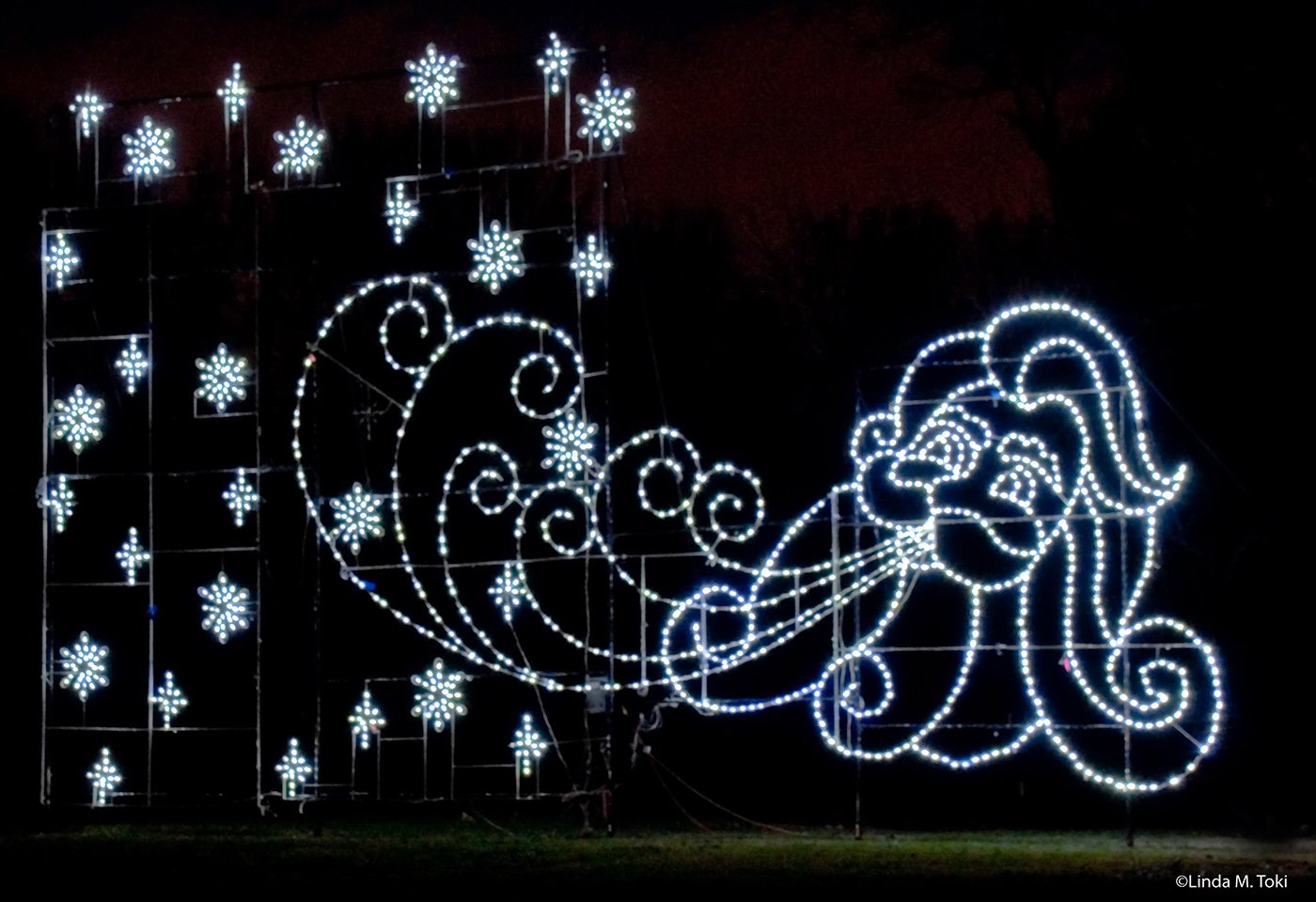 Bull Run Festival of Lights Nova Parks
