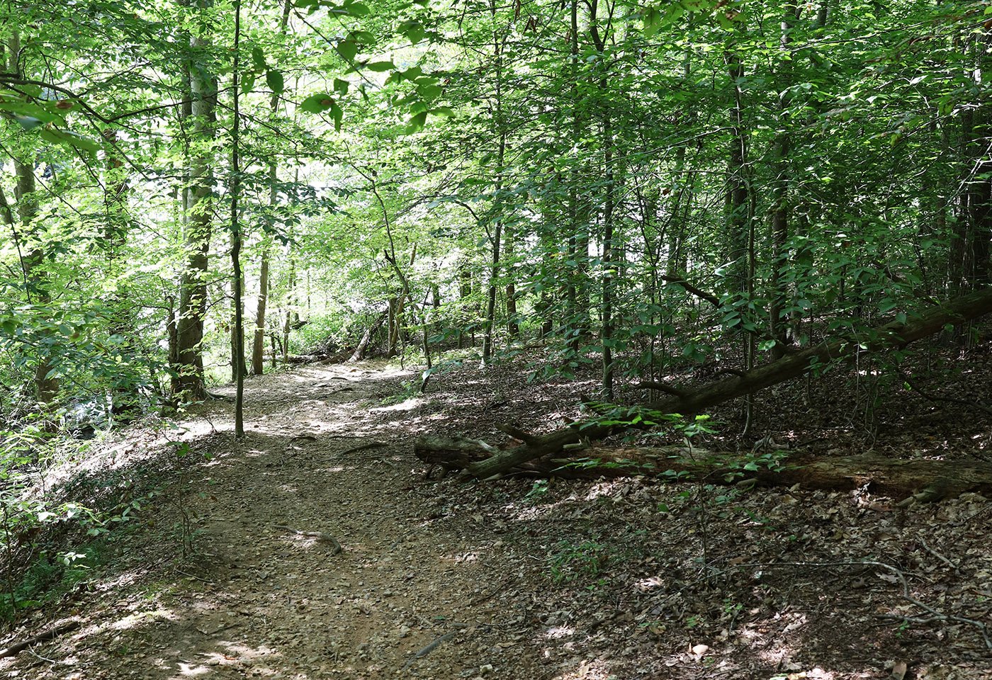 trail at bull run