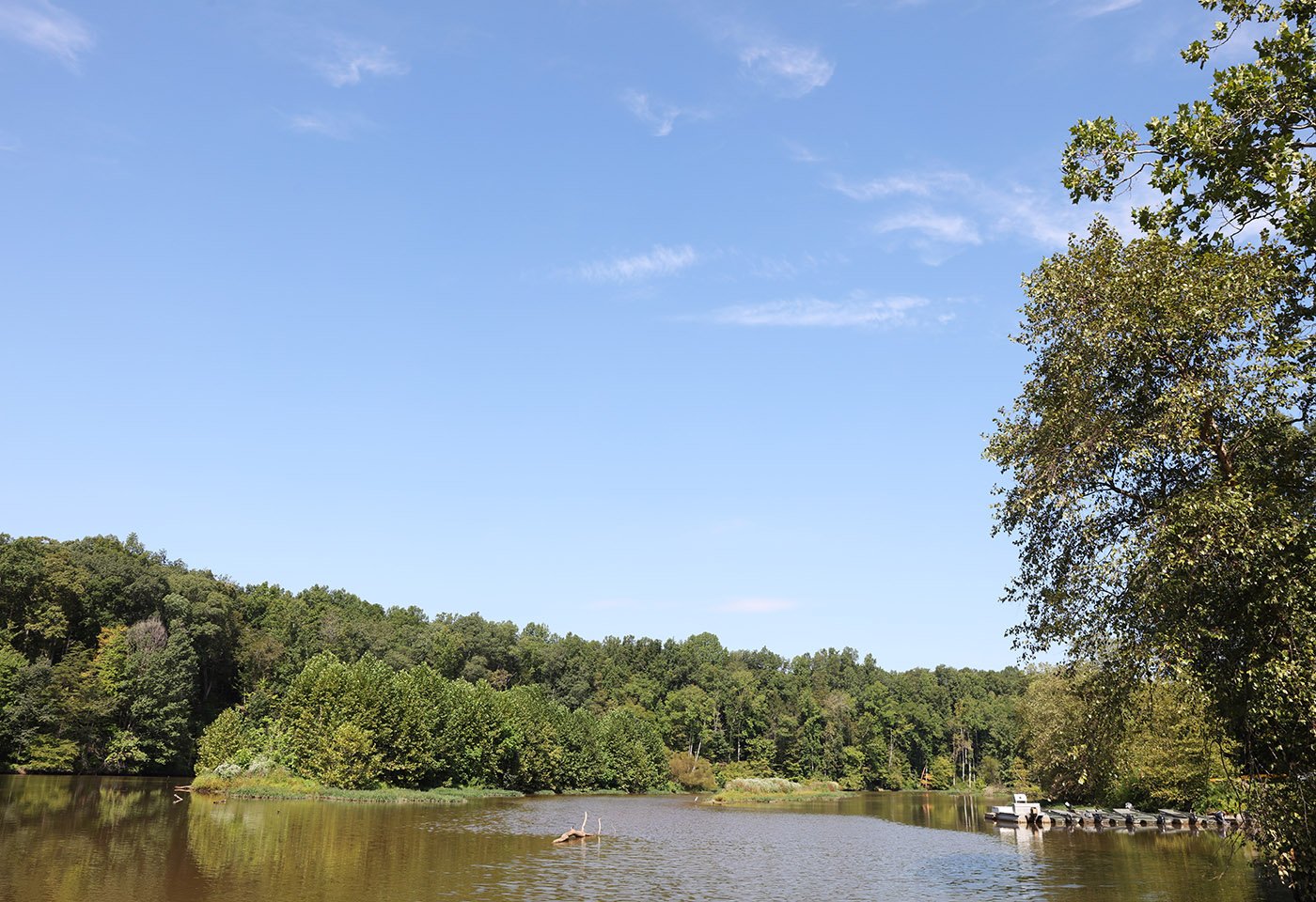bull run marina water view