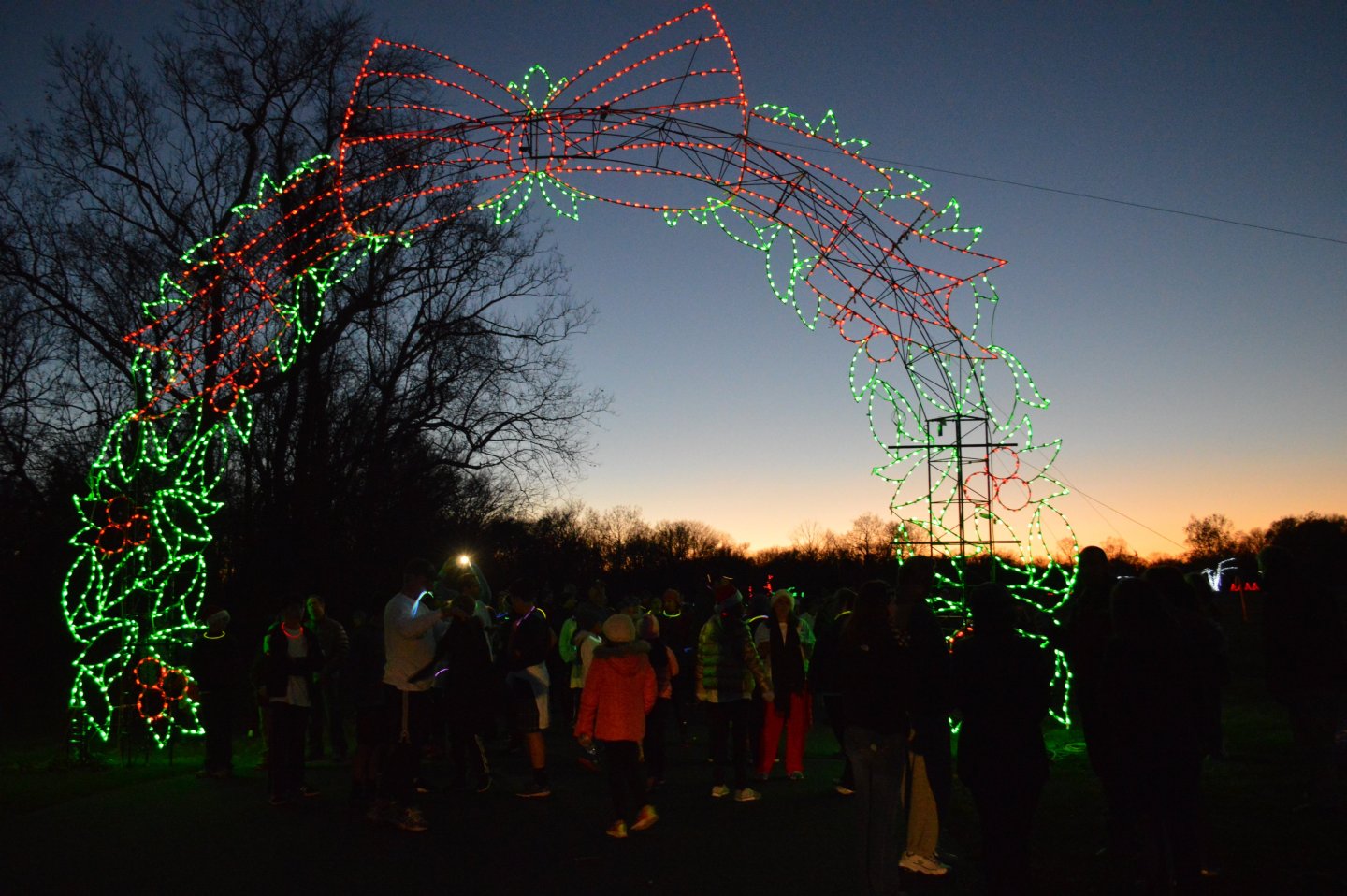 Snowflake Stampede 1