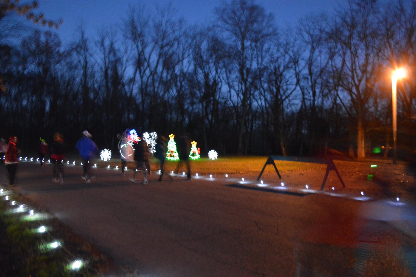 Snowflake Stampede 5