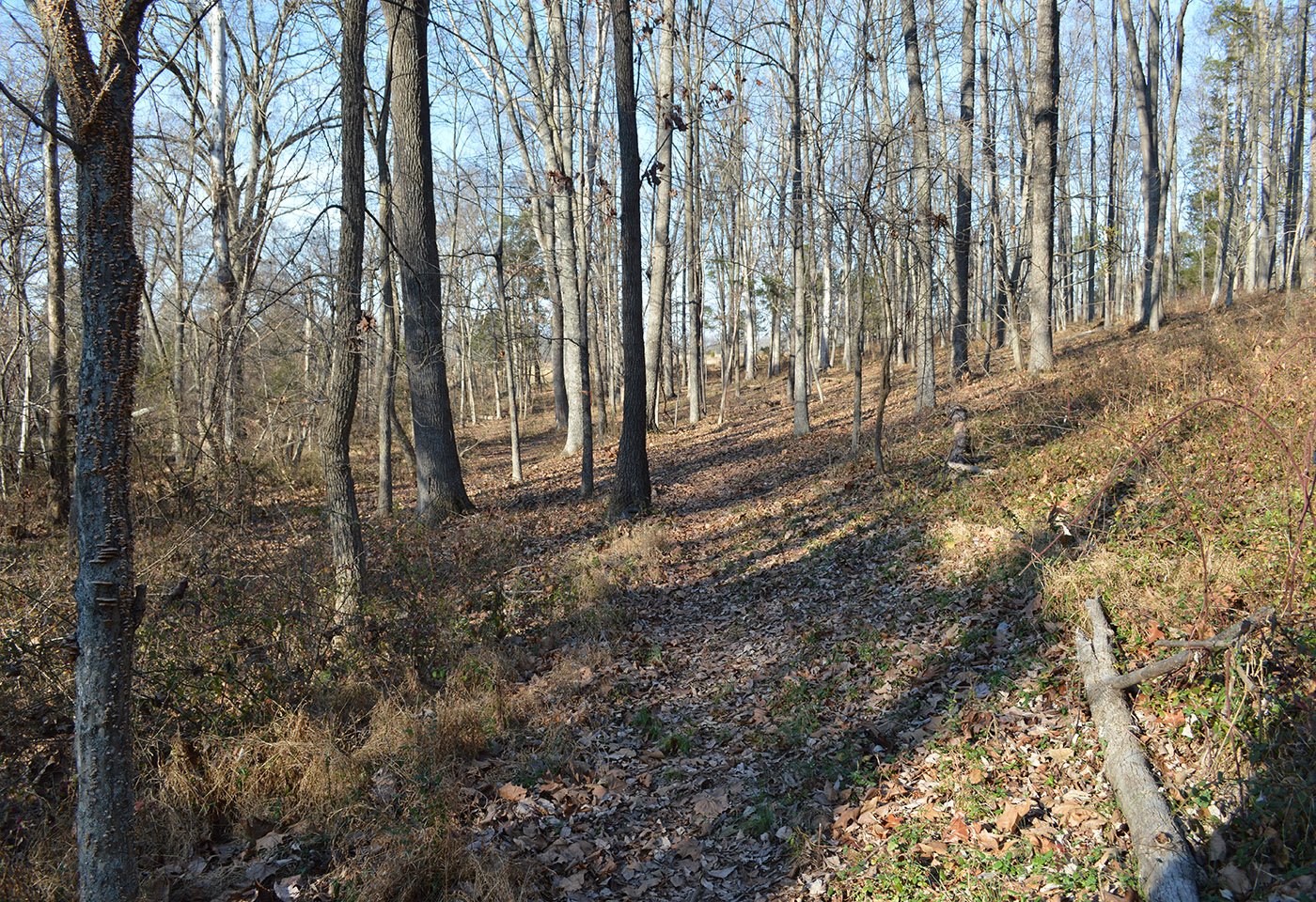 trail at gilberts corner
