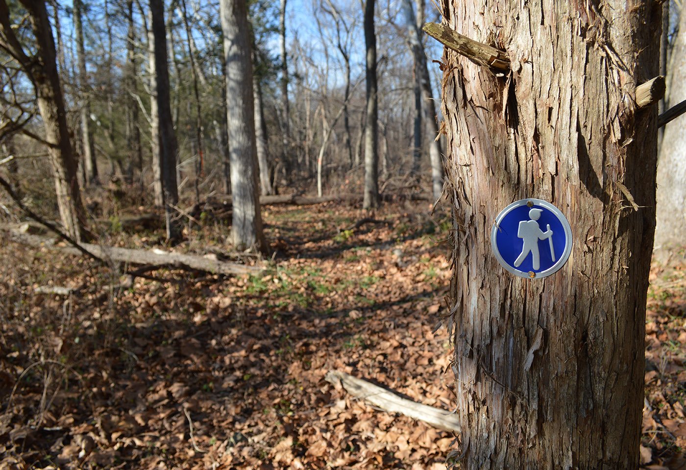 trail at gilberts corner