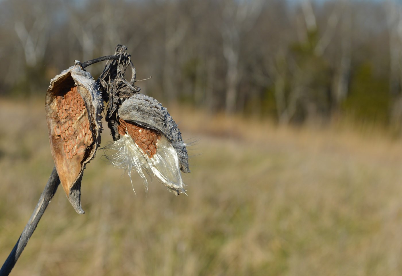 Gilbert's Corner Regional Park