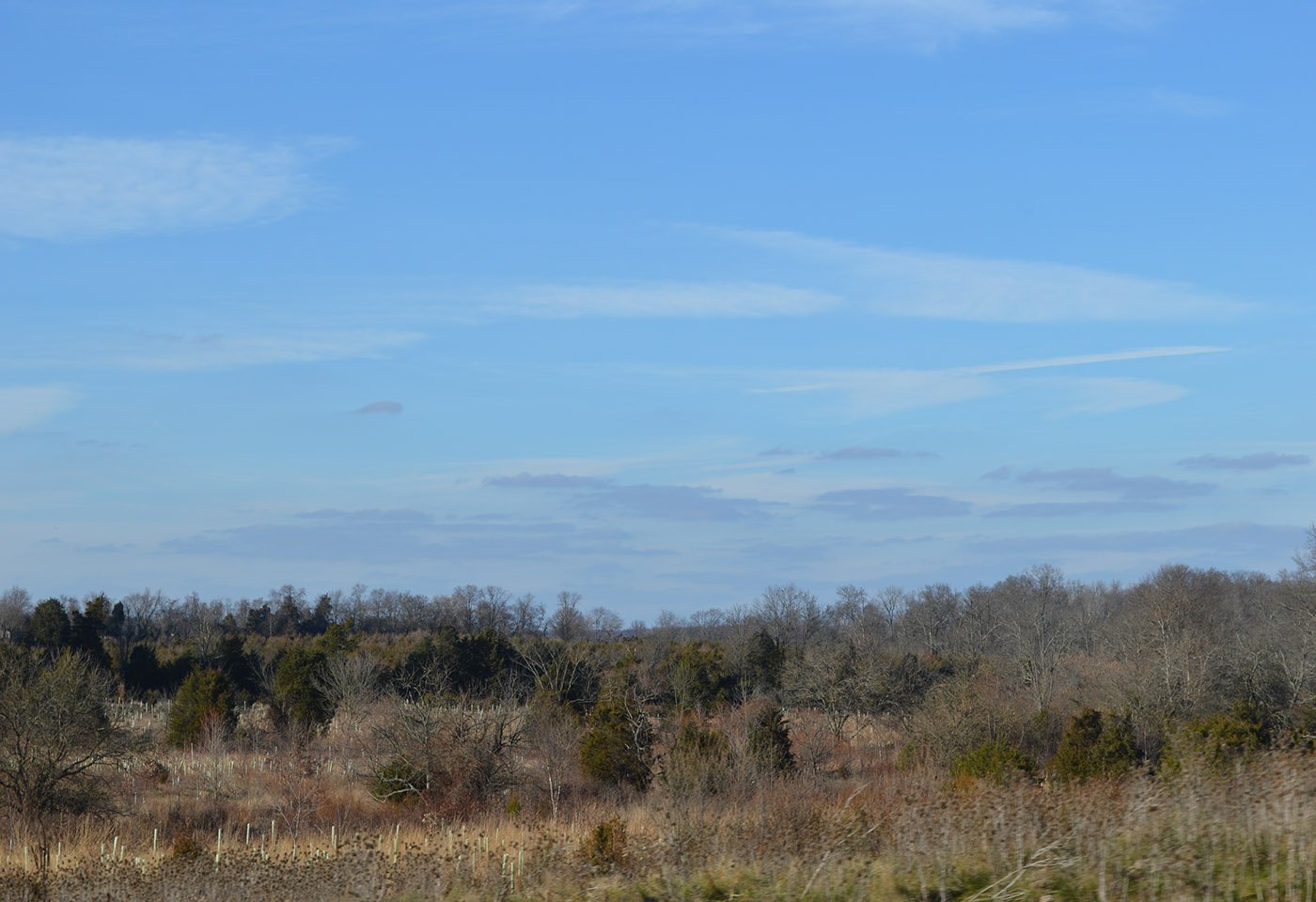 Gilbert's Corner Regional Park