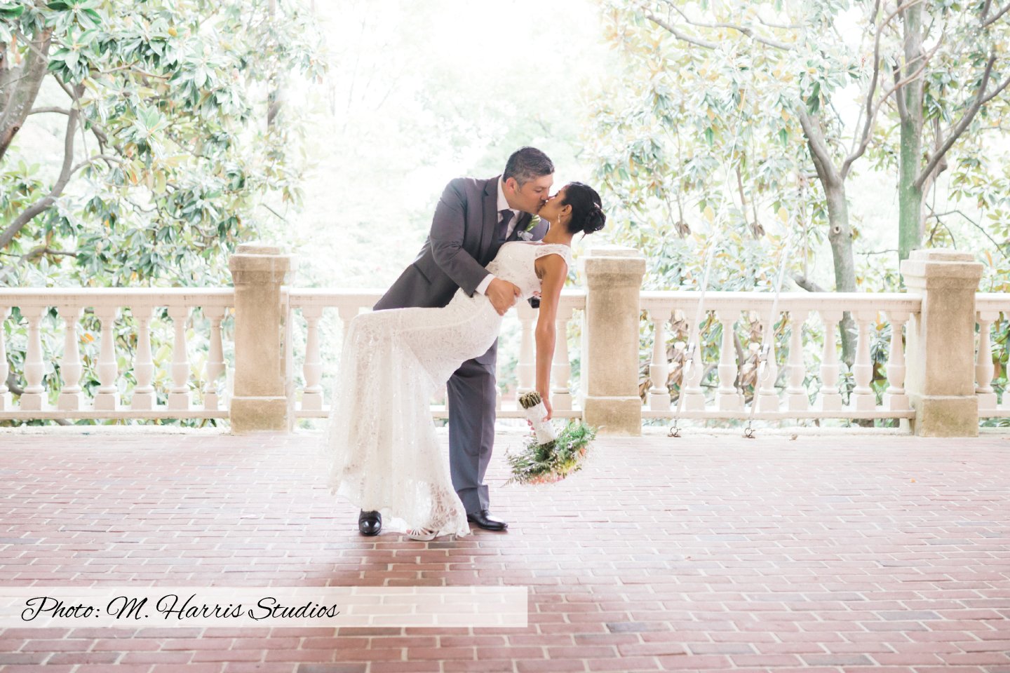 M. Harris Studios Photography 1 M. Harris Studios Photography 1