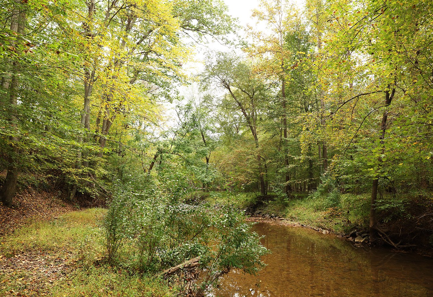 trail and water at webb