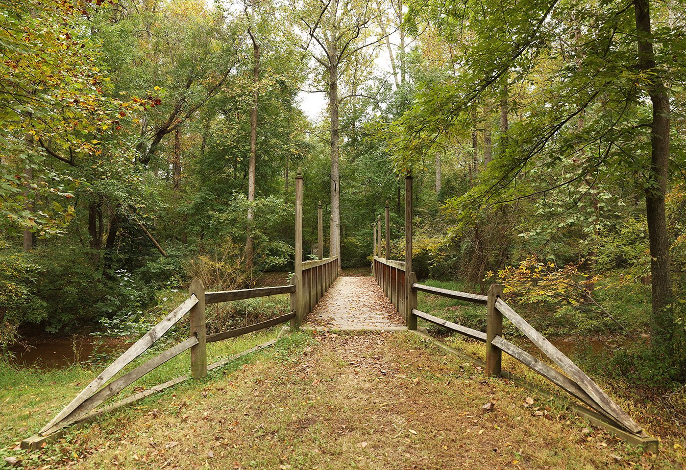 trail at webb