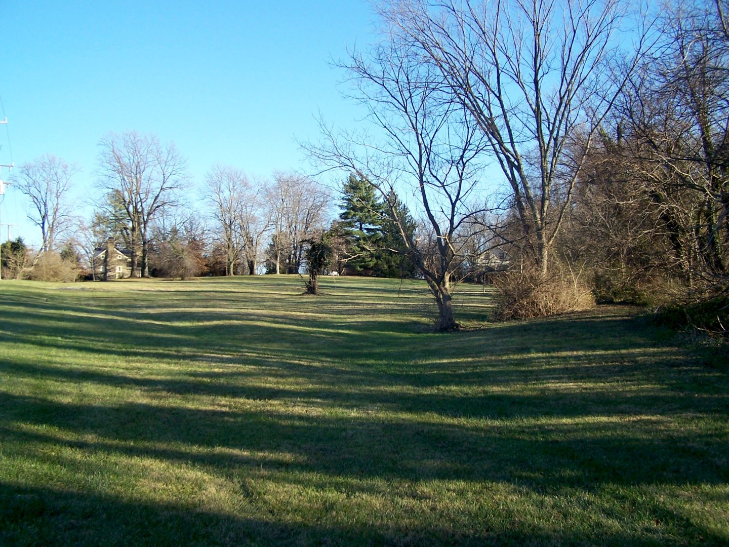west field at Mt Defiance