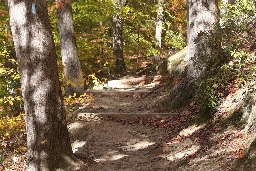 Blue Trail Hiking Blue Trail Hiking