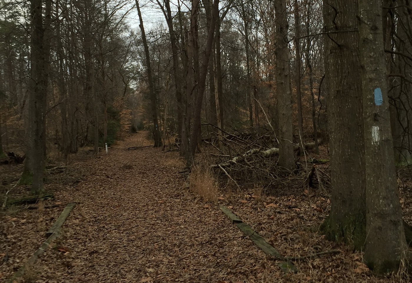 trail