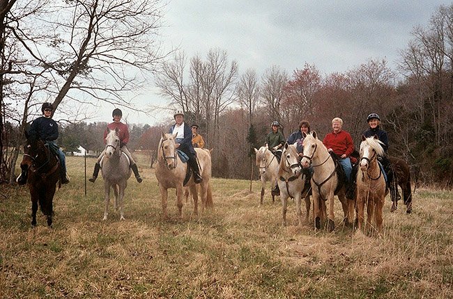 Pohick horses Pohick horses