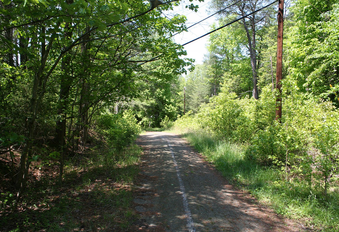 Pohick Bay Regional Park, trail