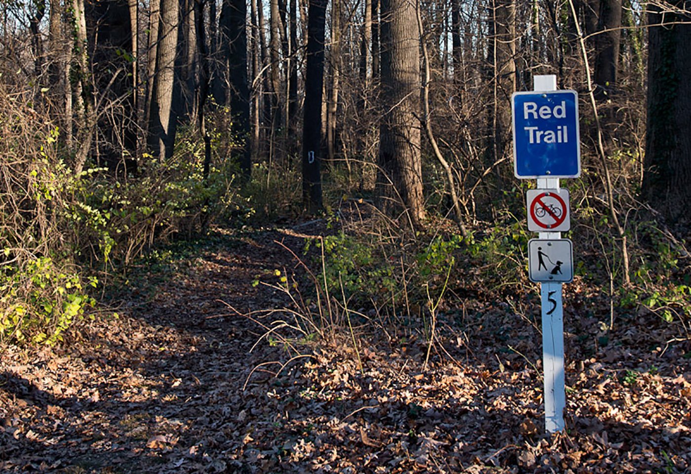 Upton Hill Regional Park trails