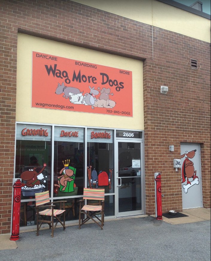 Wag More Dogs